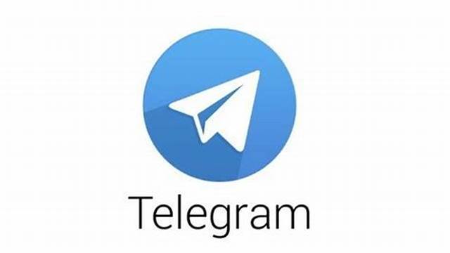 纸飞机官网的视频保存不到相册 纸飞机官网的视频保存不到相册